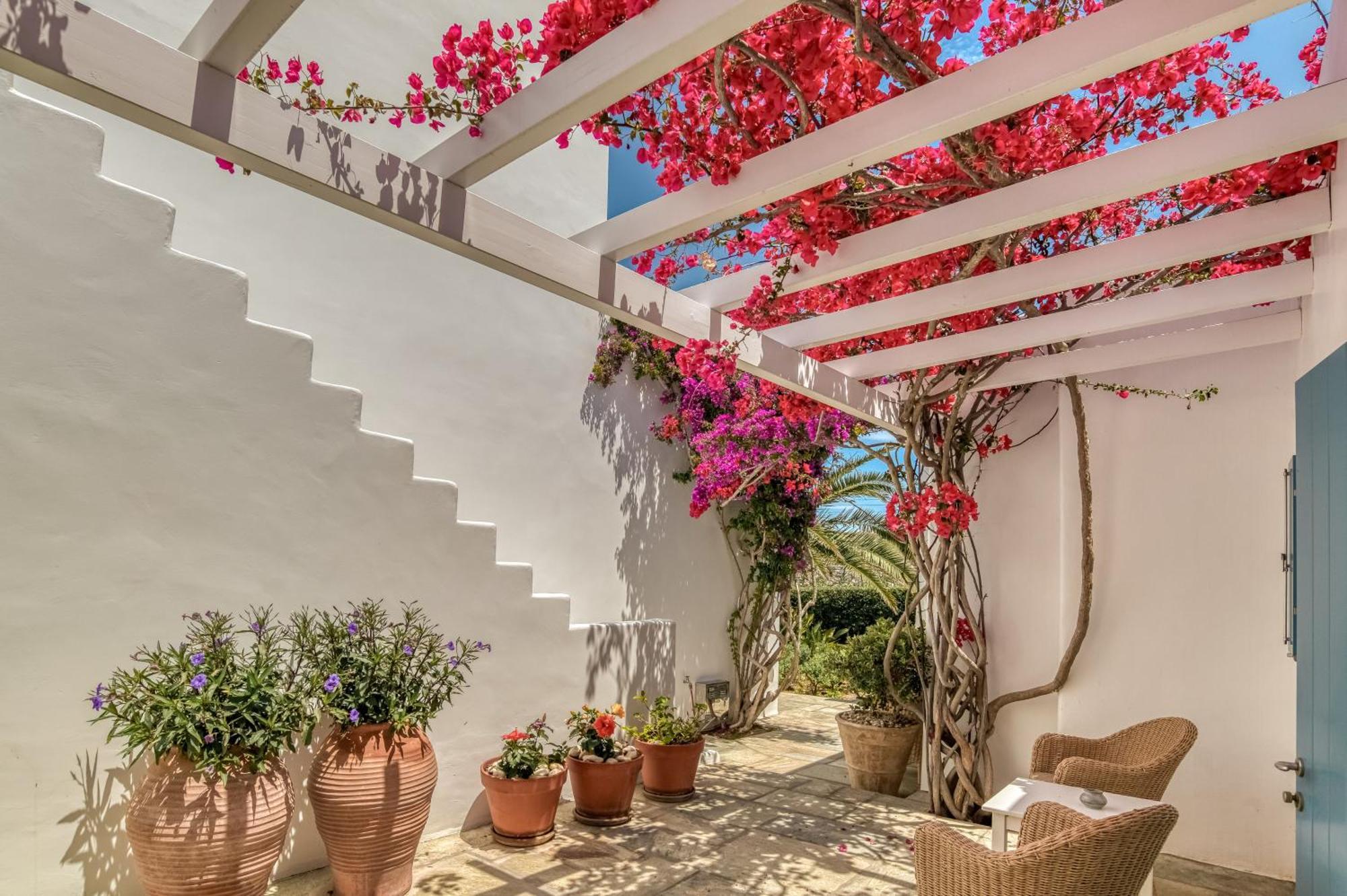 Villa Bellonia Náoussa Extérieur photo